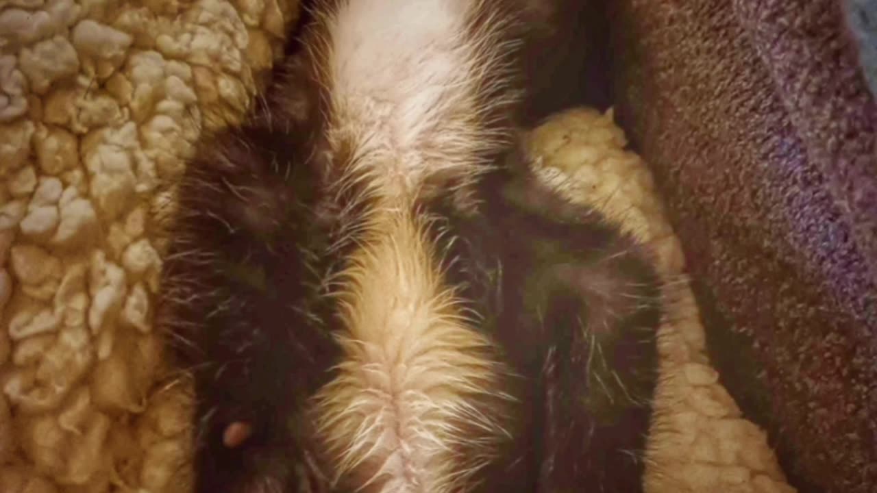 Iron sharpens iron- maude