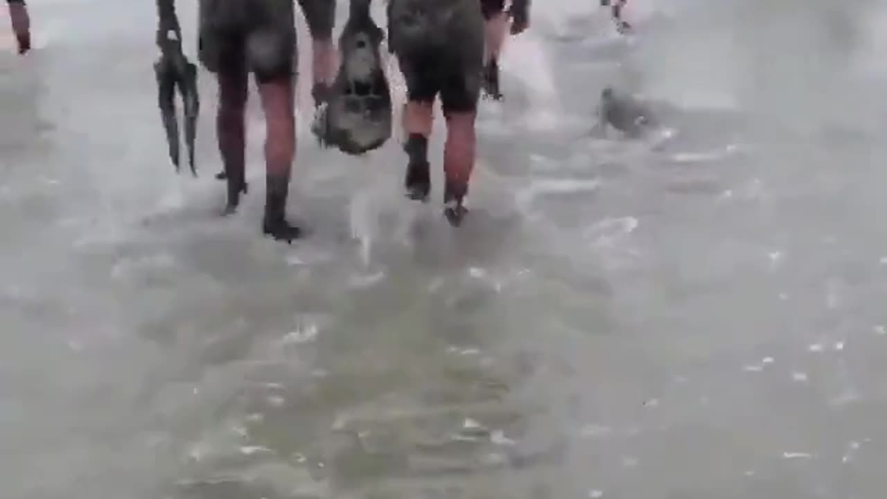 Navy SEALs get a laugh when an actual seal wants to train with them!