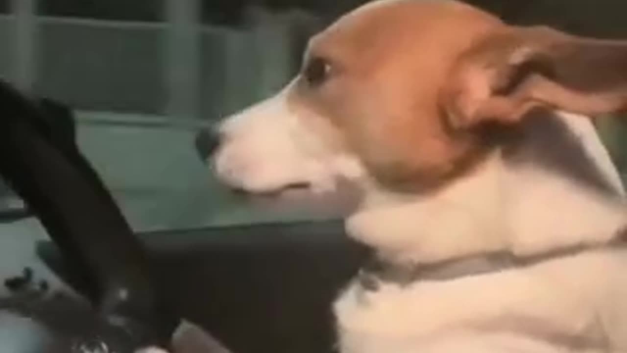 When im sleep