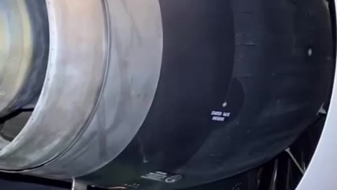 This video shows the operation of the engine reverser in all its details