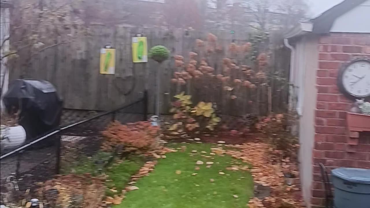 Sounds of nature part 2.