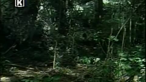 Hermanos - Capitulo 36