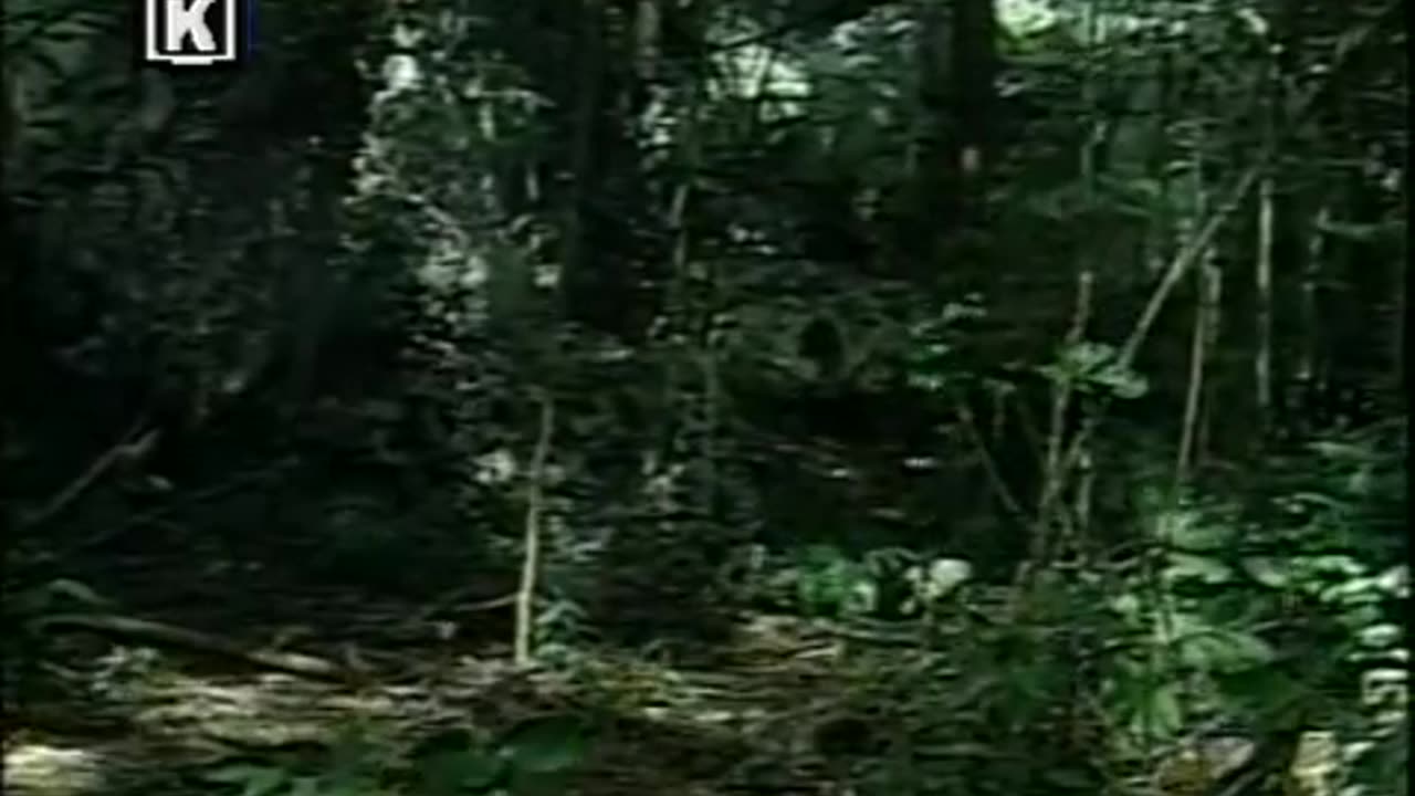 Hermanos - Capitulo 36