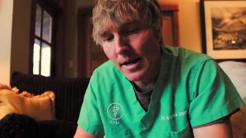 Is the Rabies Vaccine Harming Your Pets?