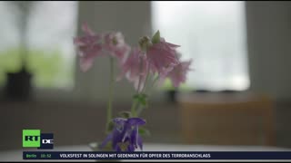 RT DE LIVE-TV