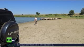 RT DE LIVE-TV