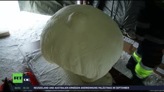 RT DE LIVE-TV