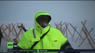 RT DE LIVE-TV
