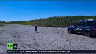 RT DE LIVE-TV