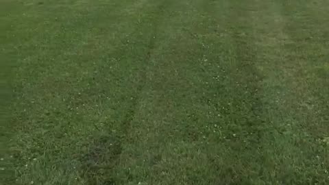 🌾👨‍🌾 My Crop People Need Me! | FunFM