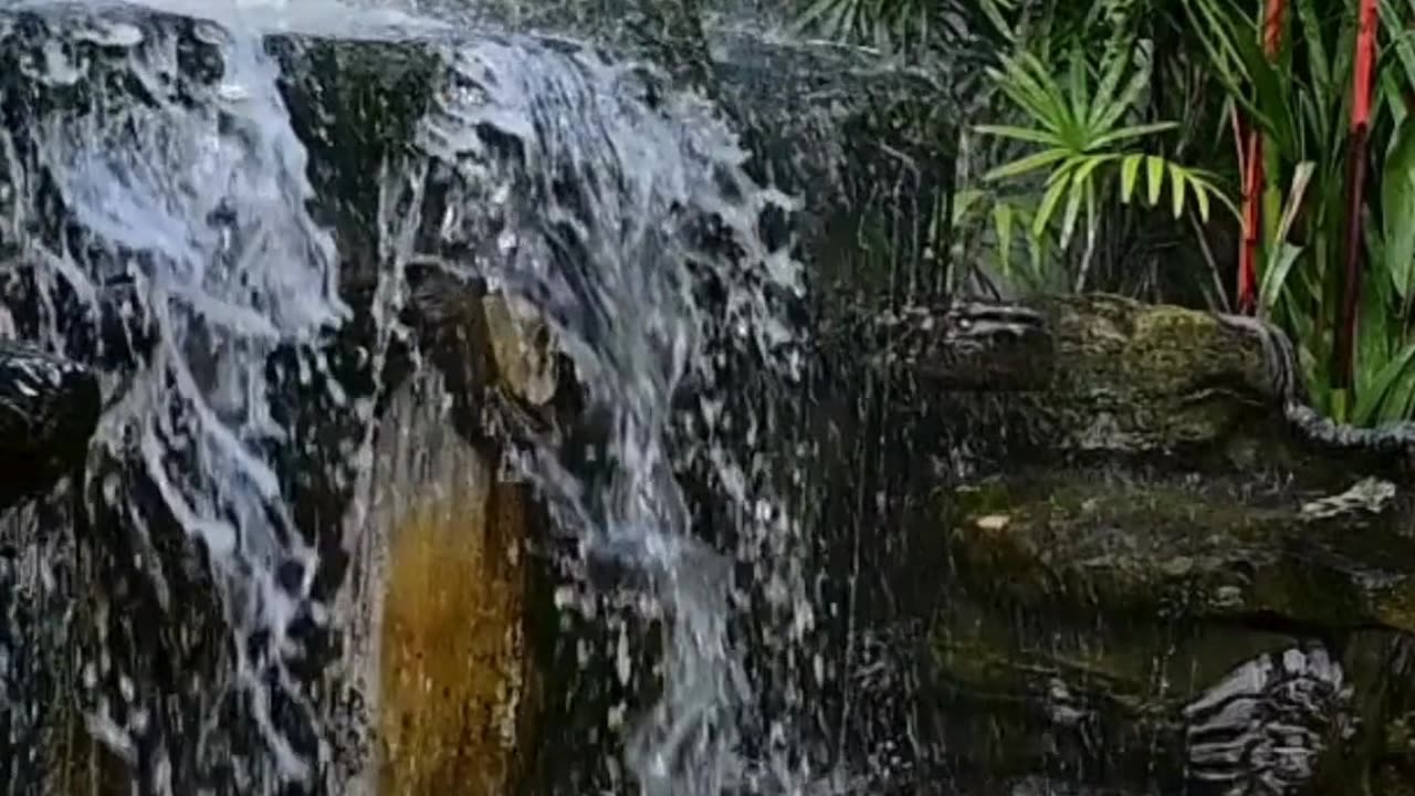 396 Hz with 40 Hz Gamma Waves with Stream - Improved Cognitive Function, Sleep Quality, Blood Flow