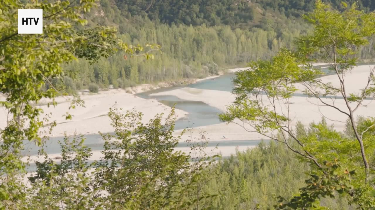 Nature’s Most Intense Hunting Moments