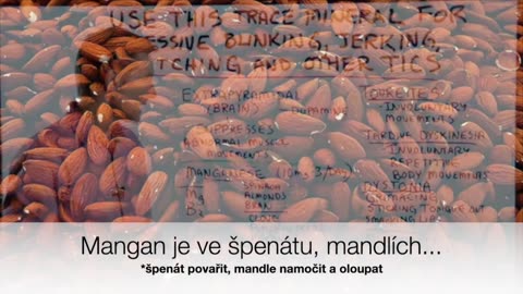 Tourettův syndrom, tiky, diskineze a mangan