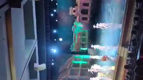 Lights, Music, Action! My Night at the Talent Show