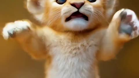 Lion king of beasts