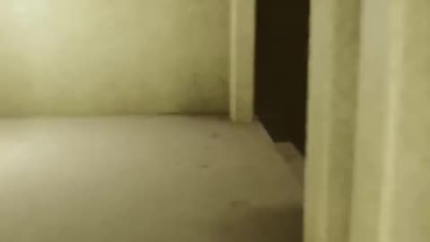 Inside The Backrooms Funny Moments | #insidethebackrooms #horror #horrorgames