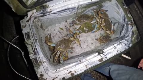 14 Days Hunting, Fishing & Crabbing Florida_part12