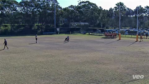 Narrabeen Tigers Opens vs Norwest
