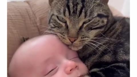 Cats + Baby = Unlimited Love 🥰♥️🐈