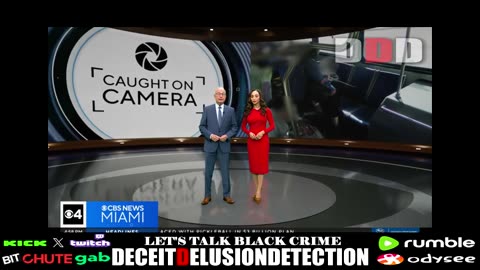 A 70-year-old elderly white woman was violently attacked on a Broward bus by two black females