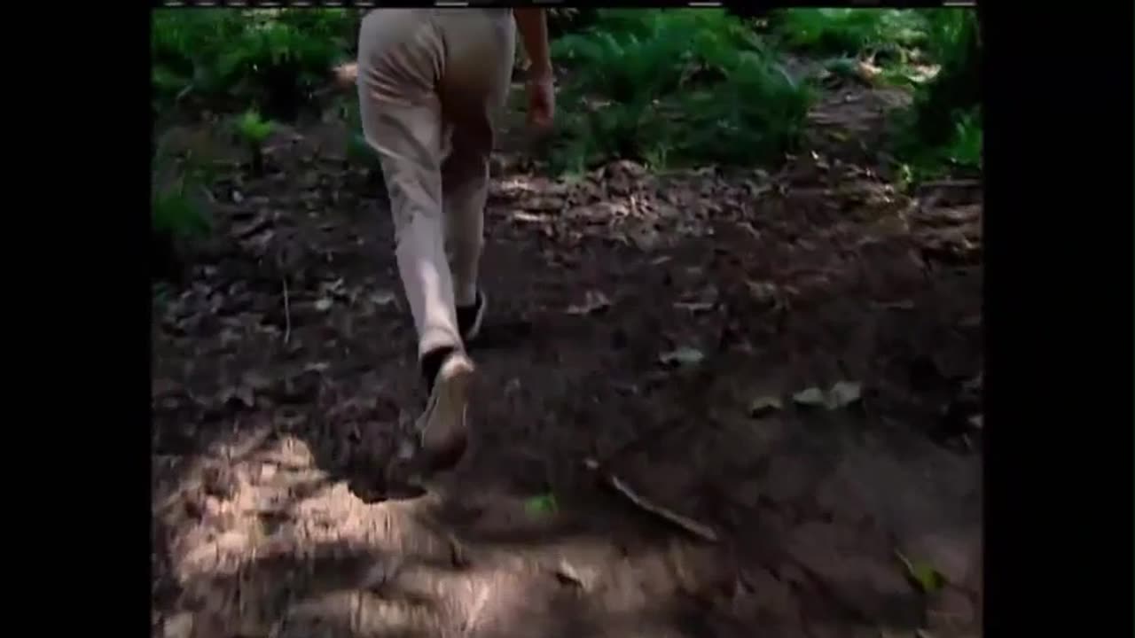 Caminhos do Coração 1ª Temp. Cap. 200