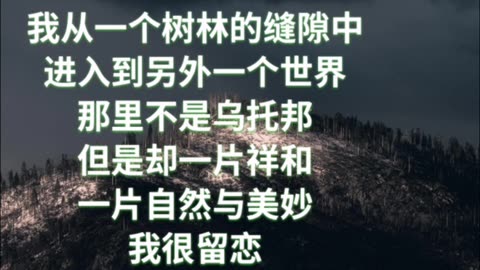 我从一个树林的缝隙中， 进入到另外一个世界。 那里不是乌托邦， 但是却一片祥和， 一片自然与美妙， 我很留恋， 不想再返回。