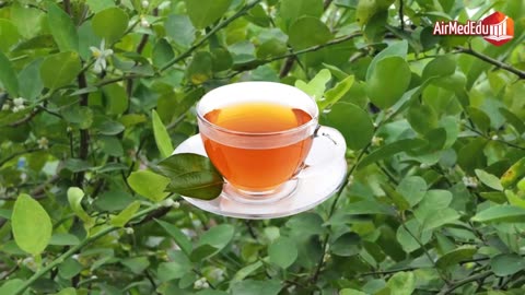27 Health Benefits of Lemon Leaf Tea