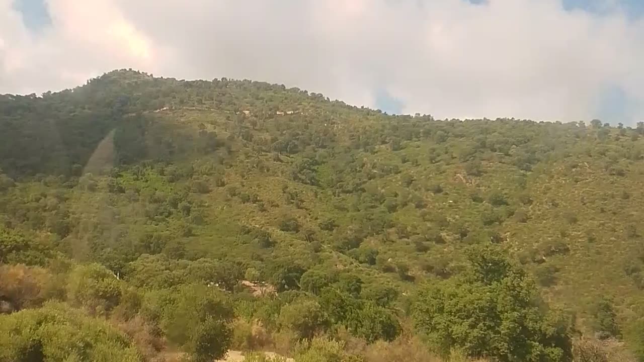 Algeria' Annaba vibes