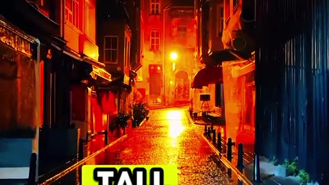 Warning dont play it Night: Crime Mystery