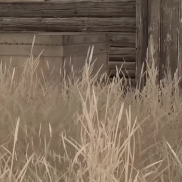 When You're New to DayZ