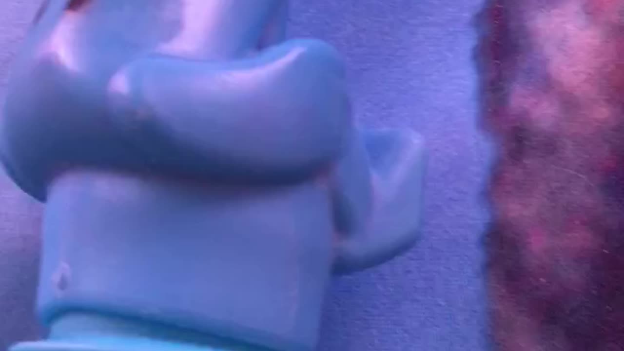 Long Blue Stretch Dog Toy