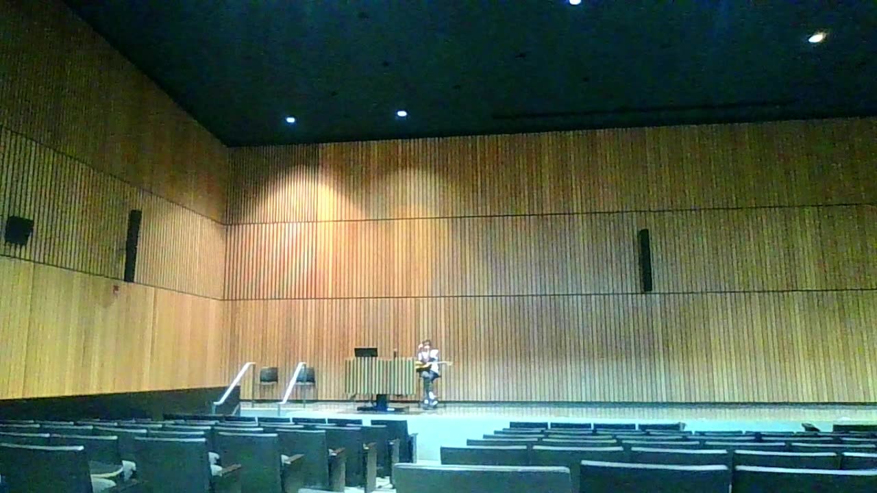 guitar 4 BACK