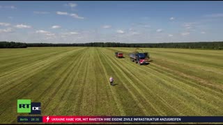 RT DE LIVE-TV