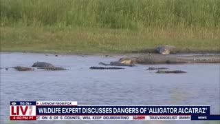 Forrest Galante: Escaping 'Alligator Alcatraz' harder than Alcatraz island