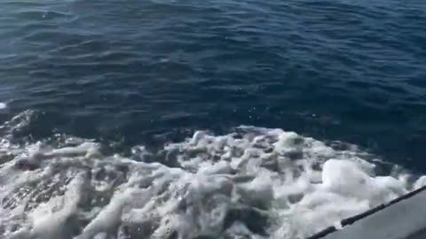 😴🎣 To Wake Up a Fisherman... But It Backfires! | FunFM