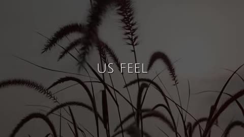 🙌✨ Saturday's Prayer | Praise & Connect with God's Glory | InGodWeTrustDaily