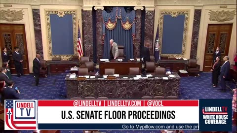 LIVE FROM DC with Alison Steinberg - July 30th, 2025