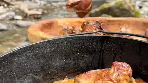 Wild Cooking while camping