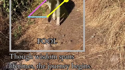 Light The Journey | Path and Tarot Reading