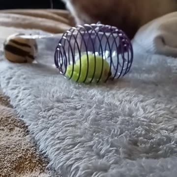 A different playtime view!