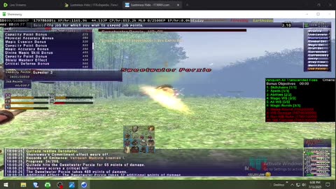 Playing Final Fantasy XI Online