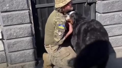 🐕❤️ Ukraine Russia War | Soldier's Emotional Reunion with Dog After Year Apart | RCF
