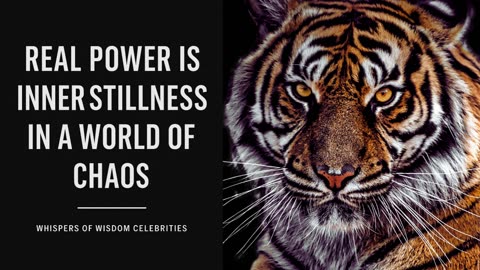 modern stoicism for inner peace I motivation