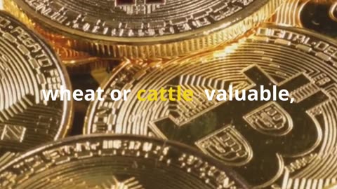 Can Bitcoin replace the Dollar?