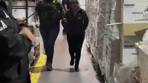 ICE raided Glenn Valley Foods in Omaha, arresting over 100 illegals