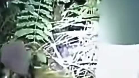 👻😨 Replying to @babasimphiwe #GhostlyTokSa #Poltergeist #Paranormal | TheHauntingHour