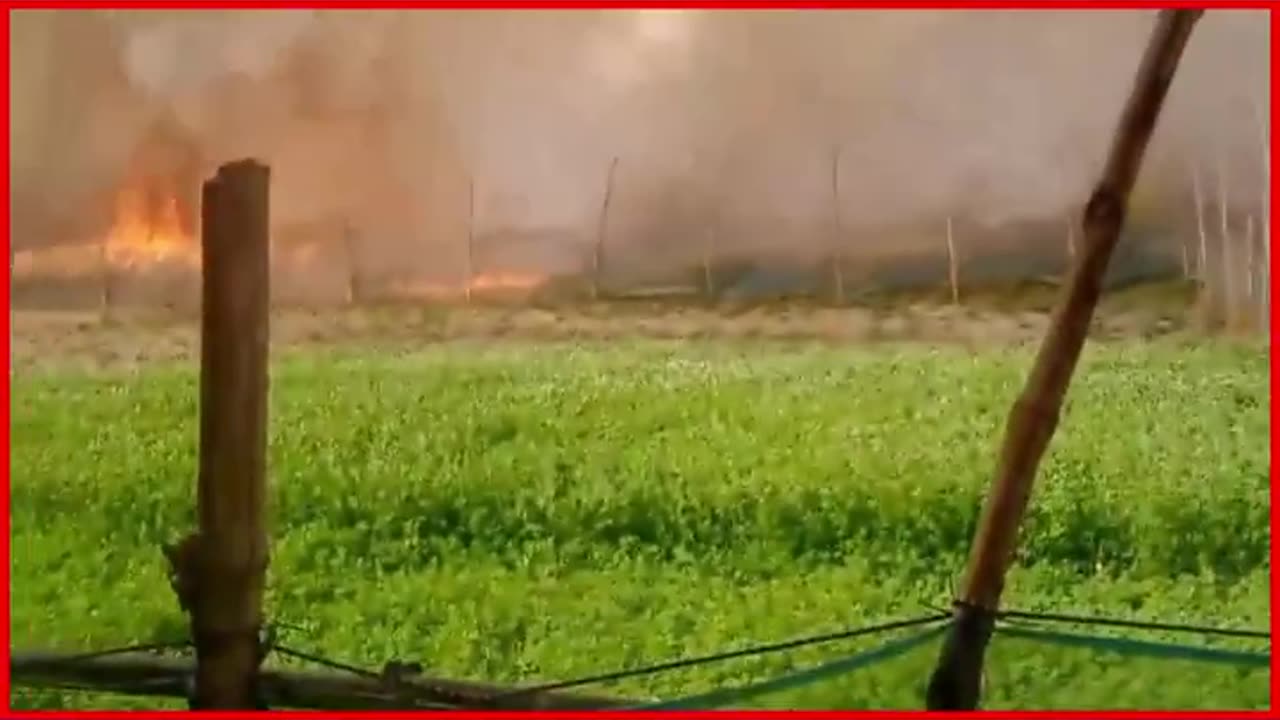 Deoria, UP: Fire Destroys Several Acres of Standing Wheat Crop Near Peedra Village