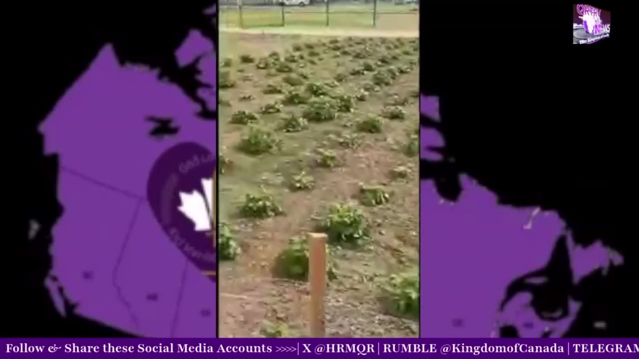 3 video's played of what is happening at HRM Queen Romana Didulo (1) The First Command Center