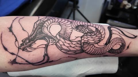SNAKE 7RL TATTO ONLY