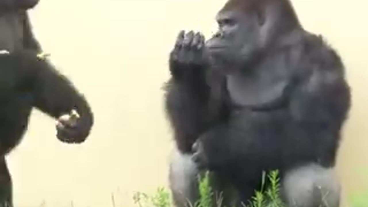 Nothing like a good 360 spin | funny video | crazy clips